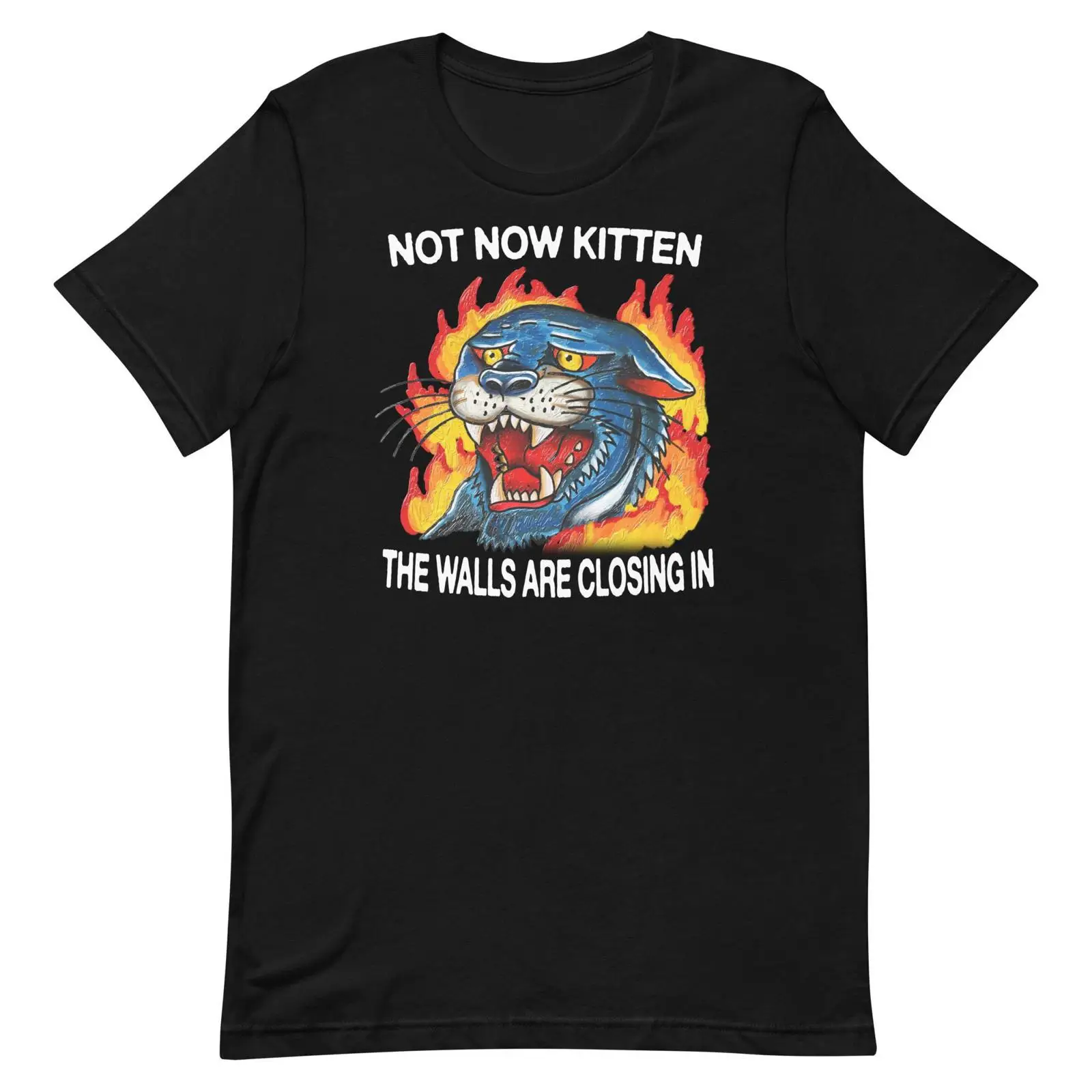 Футболка Not Now Kitten в винт – обзор и цена Vintage Fashion Now